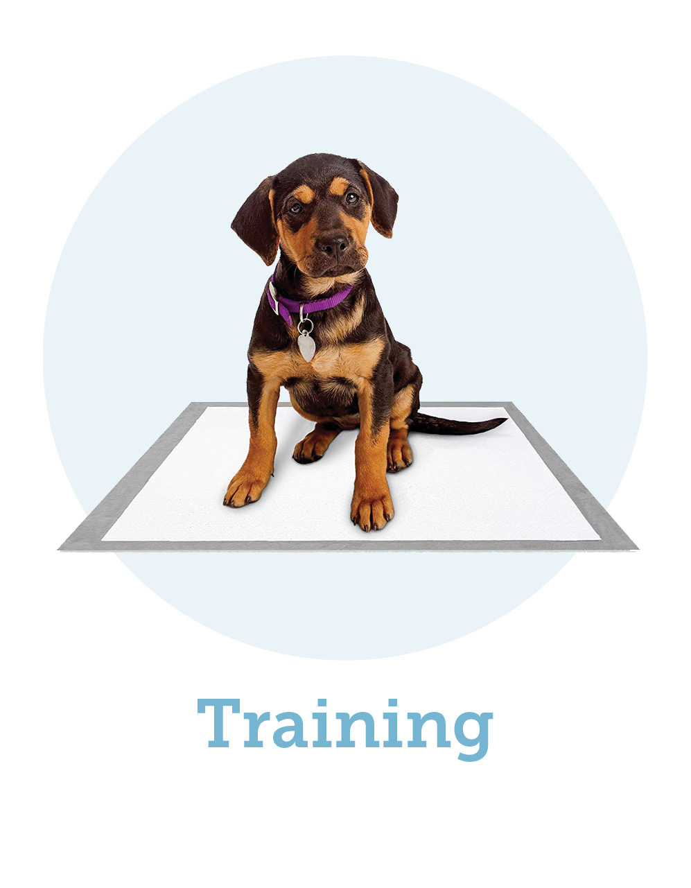 Puppy Essentials, Dog Training, Opens in new window.